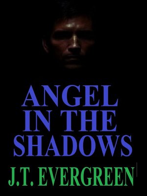 cover image of Angel In the Shadows